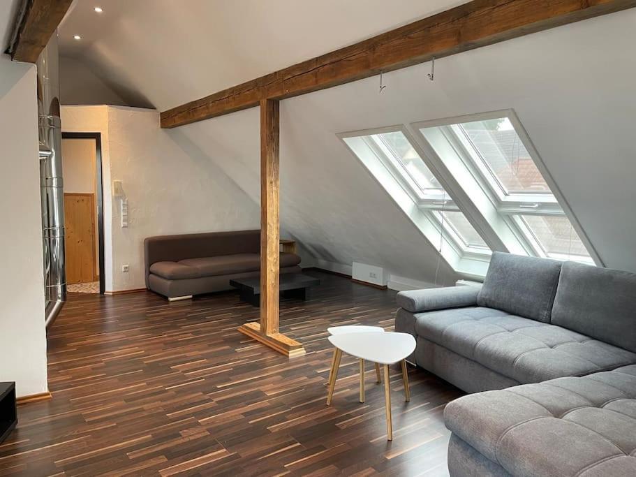 Maisonette Apartment Family & Business Naehe Heidelberg I Kueche I 6 Schlafplaetze Sinsheim Exterior foto